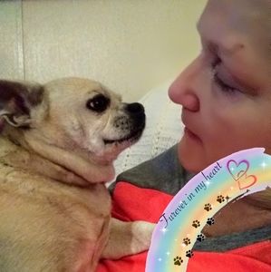 Meet your Posher, Judy